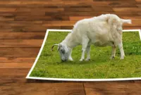 Ilustrasi 3D Motion