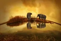 Ilustrasi AI Generate Image FLUX 2