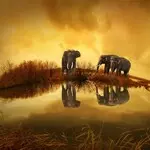 Ilustrasi AI Generate Image FLUX 2