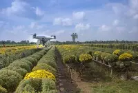 Ilustrasi Smart Agriculture