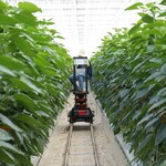 Smart Farming