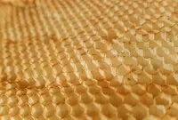 Ilustrasi Cognitive Hive AI