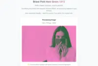 Ilustrasi Cara Membuat Foto Profil Warna Pink dan Hijau