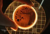 Ilustrasi Bioteknologi