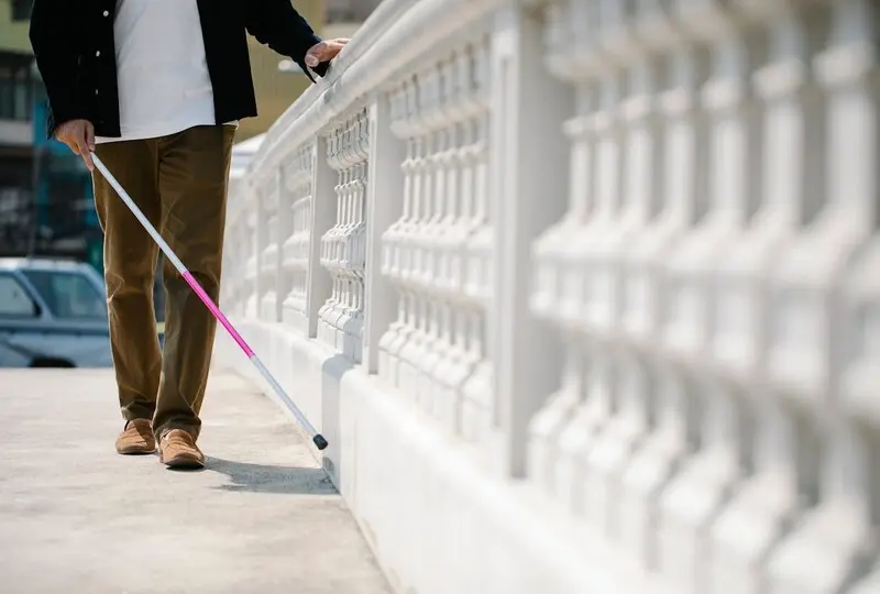 Ilustrasi Teknologi YOLO