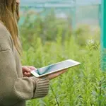 Ilustrasi Smart Farming