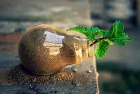 Ilustrasi Sustainable Technology