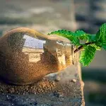 Ilustrasi Sustainable Technology