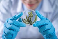 Ilustrasi Quantum Biology Lab