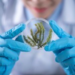 Ilustrasi Quantum Biology Lab