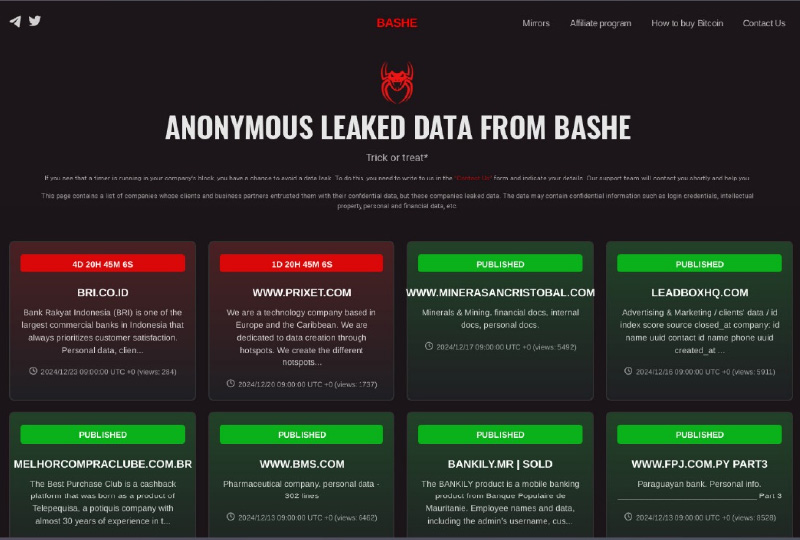 Anonymous Leaked Data From Bashe