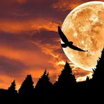 Ilustrasi AI Generative Image