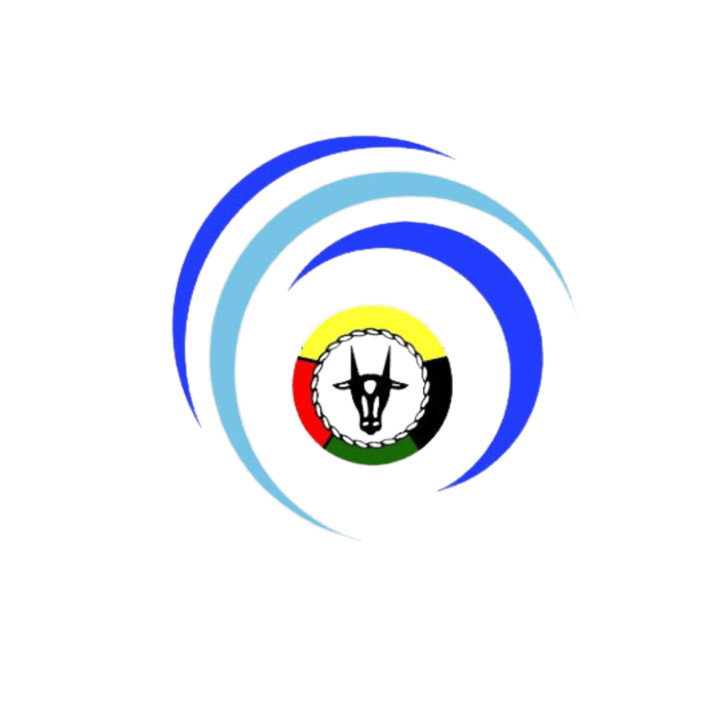 DINAS KOMUNIKASI DAN INFORMATIKA PROVINSI SULAWESI TENGGARA